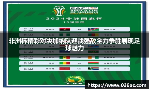 非洲杯精彩对决加纳队迎战强敌全力争胜展现足球魅力