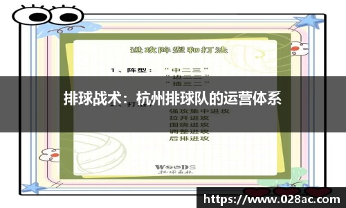 排球战术：杭州排球队的运营体系