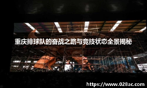 重庆排球队的奋战之路与竞技状态全景揭秘